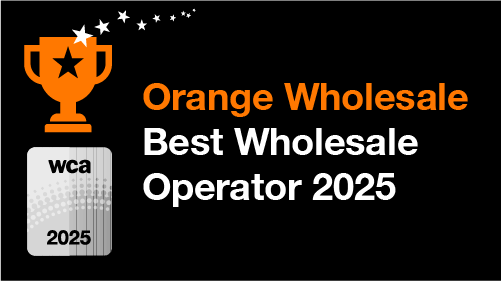 GlobalData_2025_thumbnail_page_carrefour_owi